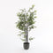 Mica Decorations Bamboe Kunstplant - H150 x Ø95 cm - Groen