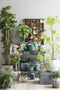 Mica decorations Bamboe kunstplant/hangplant - groen hangend - 80 x 20 cm