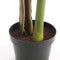 Mica Decorations Bananenboom Kunstplant - H120 x Ø90 cm