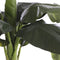 Mica Decorations Bananenboom Kunstplant - H120 x Ø90 cm
