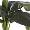 Mica Decorations Bananenboom Kunstplant - H180 x Ø115 cm - groen