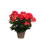 Mica Decorations Begonia Artificial Plant in Plant Pot Campana - H30 x Ø25 cm - Dark pink