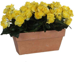 Mica Decorations begonia geel in balkonbak slate terra - 29x13x25