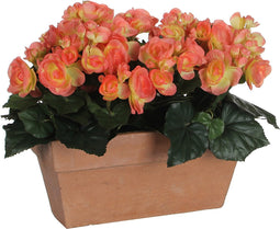Mica Decorations Begonia Kunstplant in Balkonbak Slate - L29 x B13 x H25 cm - Zalmroze