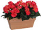 Mica Decorations Begonia Kunstplant in Balkonbak Slate - L29 x B13 x H25 cm - Donkerroze