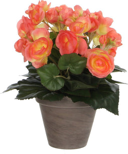 Mica Decorations Begonia Kunstplant in Bloempot Stan - H30 x Ø25 cm - Zalmroze