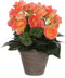 Mica Decorations Begonia Kunstplant in Bloempot Stan - H30 x Ø25 cm - Zalmroze