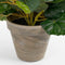 Mica Decorations Begonia Kunstplant in Bloempot Stan - H30 x Ø25 cm - Zalmroze