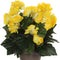 Mica Decorations Begonia Kunstplant in Bloempot Stan - H30 x Ø25 cm - Geel