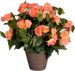 Mica Decorations Begonia Kunstplant in Bloempot Stan - H37 x Ø36 cm - Zalmroze