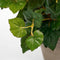 Mica Decorations Begonia Kunstplant in Bloempot Stan - H37 x Ø36 cm - Wit