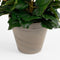 Mica Decorations Begonia Kunstplant in Bloempot Stan - H37 x Ø36 cm - Donkerroze
