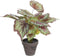 Mica Decorations Begonia Kunstplant in Bloempot Stan - H40 x Ø38 cm - Rood