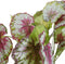 Mica Decorations Begonia Kunstplant in Bloempot Stan - H40 x Ø38 cm - Rood