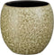 Mica Decorations Bent Bloempot - 20x20x20 cm - Terracotta - Groen