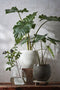 Mica Decorations Bloempot Douro - Voordeelset van 2 bloempotten rond wit handgemaakt - 28 x Ø 33 cm