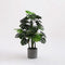 Mica Decorations Bloempot Era - Voordeelset van 4 bloempotten Keramiek rond grijs - 26 x Ø 28 cm