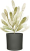 Mica Decorations Bloempot Era - Voordeelset van 4 bloempotten Keramiek rond donkergrijs antraciet - 26 x Ø 28 cm