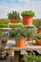 Mica Decorations Bloempot Lua - 28x28x23 cm - Klei - Terra