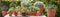Mica Decorations Bloempot Mae - 24x24x22 cm - Klei - Terra