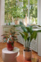 Mica Decorations Bloempot Nola - 17x17x16 cm - Keramiek - Bruin
