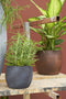Mica Decorations Bloempot/plantenpot - roest/terracotta bruin - voor kamerplant - H18 x D20 cm