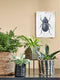 Mica Decorations Bloempot plantenstandaard/verhoger - zwart - H12 x B10 cm