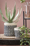 Mica Decorations Bonaparte Mand voor Planten - Set van 3 - H13 x Ø30 cm - Jute - Zwart