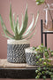 Mica Decorations Bonaparte Mand voor Planten - Set van 3 - H20 x Ø20 cm - Jute - Zwart