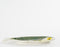 Mica Decorations Bord Vis - L29 x B14 x H2 cm - Keramiek - Donkergroen