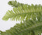 Mica Decorations Boston Varen Kunstplant in Bloempot Stan - H35 x Ø45 cm - Groen