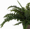 Mica Decorations Boston Varen Kunstplant in Bloempot Stan - H42 x Ø50 cm - Groen