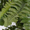 Mica Decorations Boston Varen Kunstplant in Bloempot Stan - H42 x Ø50 cm - Groen