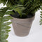 Mica Decorations Boston Varen Kunstplant in Bloempot Stan - H42 x Ø50 cm - Groen