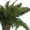 Mica Decorations Boston Varen Kunstplant in Bloempot Stan - H42 x Ø50 cm - Groen