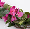 Mica Decorations Bougainvillea Kunstslinger - L180 cm - Donkerroze