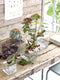 Mica Decorations Britt Vaas - L20 x B20 x H20 cm - Vierkant - Transparant
