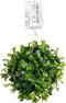 Mica Decorations Buxus Bal - 12x12x12 cm - Polyethyleen - Groen