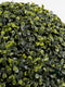 Mica Decorations Buxus Bol Kunstplant voor Buiten Hangend - Ø45 cm - Groen