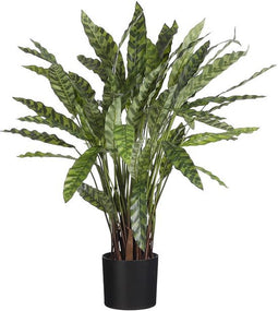 Mica Decorations Calathea Kunstplant in Pot - H84 x Ø40 cm - Groen