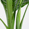 Mica Decorations Calathea Orbifolia Kunstplant - H90 x Ø60 cm - Groen