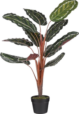Mica Decorations Calathea Roseopicta Kunstplant - H90 x Ø60 cm - Groen