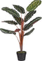Mica Decorations Calathea Roseopicta Kunstplant - H90 x Ø60 cm - Groen