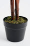 Mica Decorations Calathea Roseopicta Kunstplant - H90 x Ø60 cm - Groen