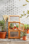 Mica Decorations Caminia Kweekkas - L60 x B42 x H115 cm- Mahoniehout