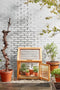 Mica Decorations Caminia Kweekkas - L60 x B42 x H77 cm- Mahoniehout