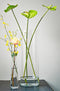 Mica Decorations Carly Vaas - H48 x Ø19 cm - Cilinder - Transparant