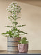 MICA DECORATIONS CELESTIAL MAND VOOR PLANTEN - H14 X Ø14 CM - ZWART