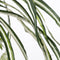 Mica Decorations Chlorophytum Kunstplant in Bloempot Stan - H45 x Ø45 cm - Groen