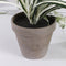 Mica Decorations Chlorophytum Kunstplant in Bloempot Stan - H45 x Ø45 cm - Groen